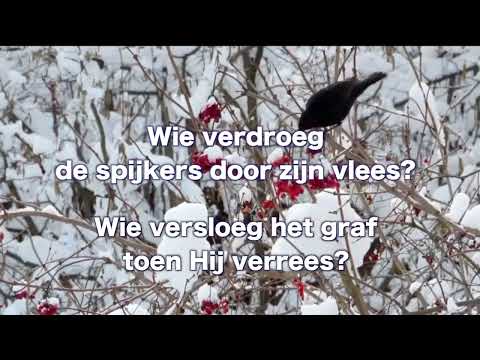 OPwekking 827 Zie onze God