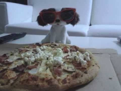 Dr Bobs Energy - Cold Fusion Techno