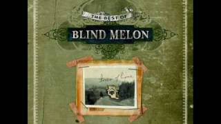 Blind Melon Skinned(Acustic)