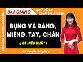 Bụng và Răng, Miệng, Tay, Chân Ngữ văn lớp 7 Cánh diều