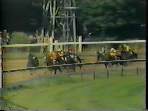 1984 Travers Stakes