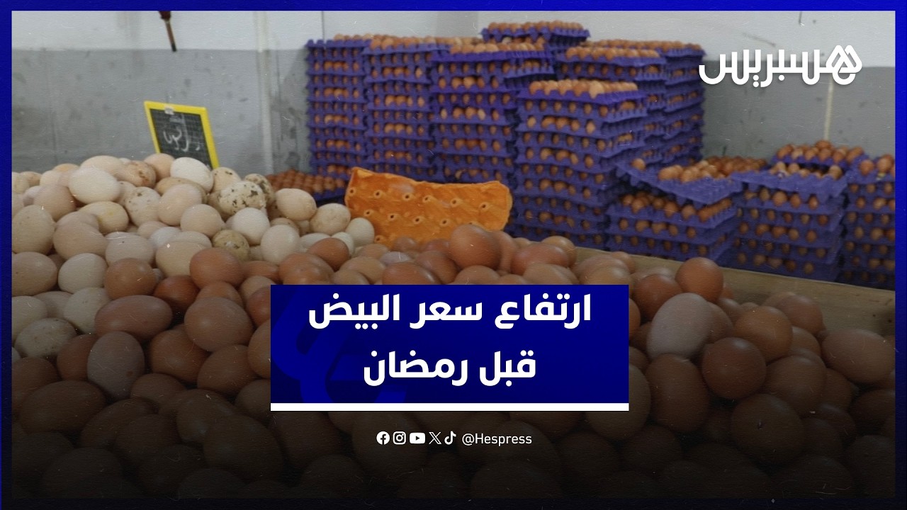 ارتفاع سعر البيض.. باعة يربطون الغلاء بالطلب الكبير في رمضان ومواطنون يطالبون بالمراقبة thumbnail