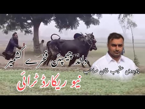 Champion Dand Fakhary Kashmir | Owner Ch aqeeb khan Sab | Today Record try .