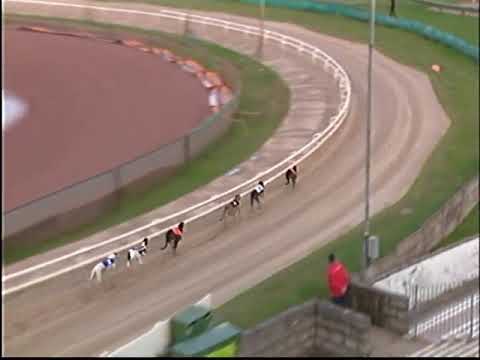 Droopys Live Monmore 10th August 2019