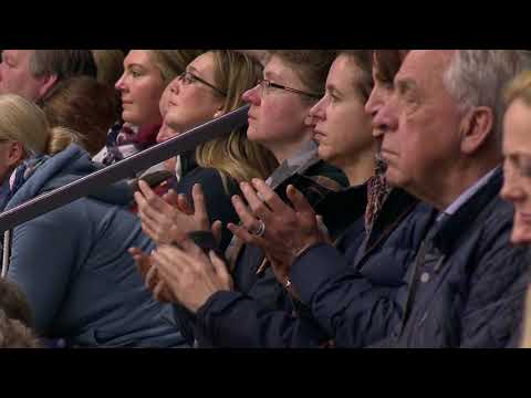 Donier-Hengstvorführung Verden 2019