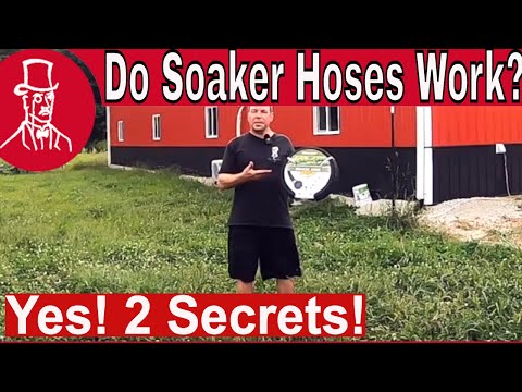 image-Are soaker hoses toxic?
