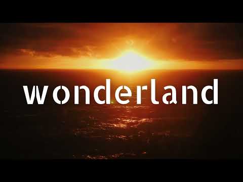 Piece Wise & Ali Bakgor - Found It With You (ft. Lewyn)