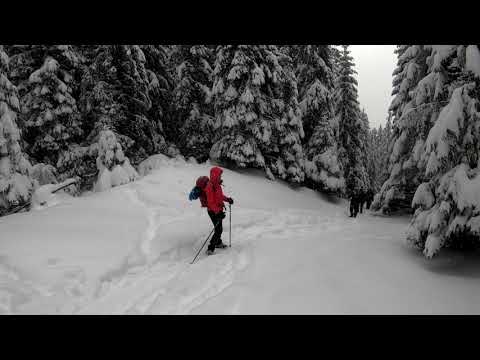 20191229 Egyes-kő (Erdély)