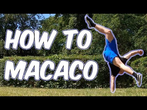 Macaco - Video Thumbnail