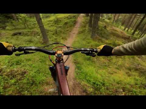 Exploring woods of Torpo + Snoken trail / Hallingdal / Norway