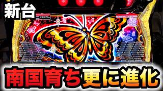 【新台】南国育ちSPECIALは更に進化？パチスロ実践スペシャル