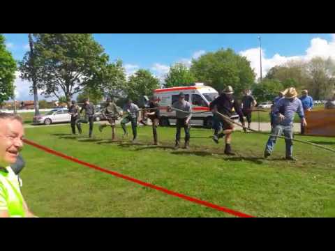 Tauziehtunier  Pfahlbronn