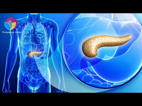 Pancreatic Insufficiency Assist | Boost Enzyme Production & Improve Digestion and Absorption