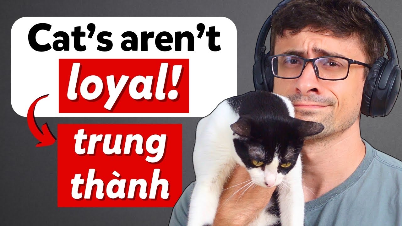 Podcast Chậm Rãi - Cùng nói về thú cưng nhé! | Tập 12