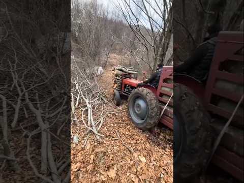 Vozac IMT traktora u opasnosti #tractor #imt #automobile #shortvideo