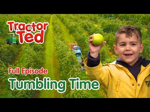 Tumbling Time 🍎 Tractor Ted Full Episode | Big Machines & Tractors For Kids