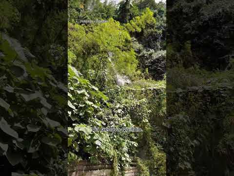 Cascada Las brisas Génova Quindío #motivacion #paisajeshermosos