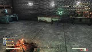眠くなるまでFallout 76