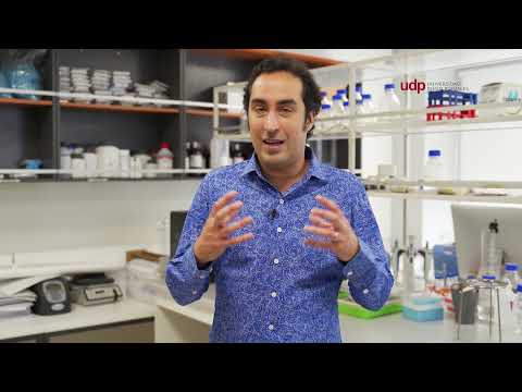 Saber UDP - Daniel Bórquez