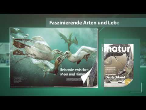 Vogelwildes Deutschland  (natur Sonderausgabe Mai 2017)