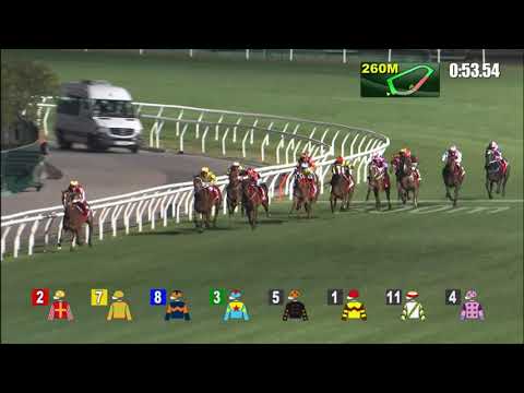 5/1/2022 (316) The Runner - Matthew Poon