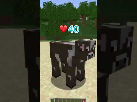 Minecraft: Most CURSED Texture Packs Part 3?!