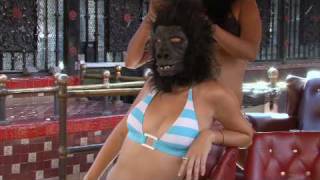 The Bronx Zoo at La Cita bar