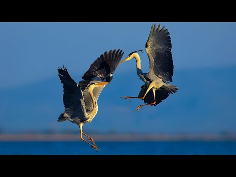 LAKES & SEAS | Anatolia Ancient Nature Full Episode