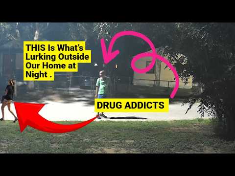Craigslist Sebring Florida