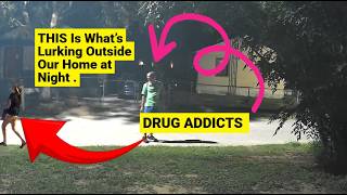 THIS Is What’s Lurking Outside Our Home at Night in Sebring Florida.