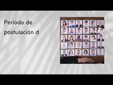 Comité Bipartito Vídeo