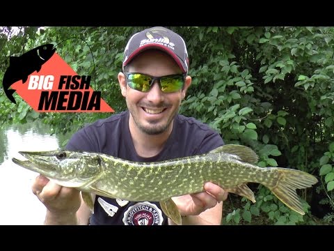 Grundkurs Spinnfischen - Geräte- und Köderkunde