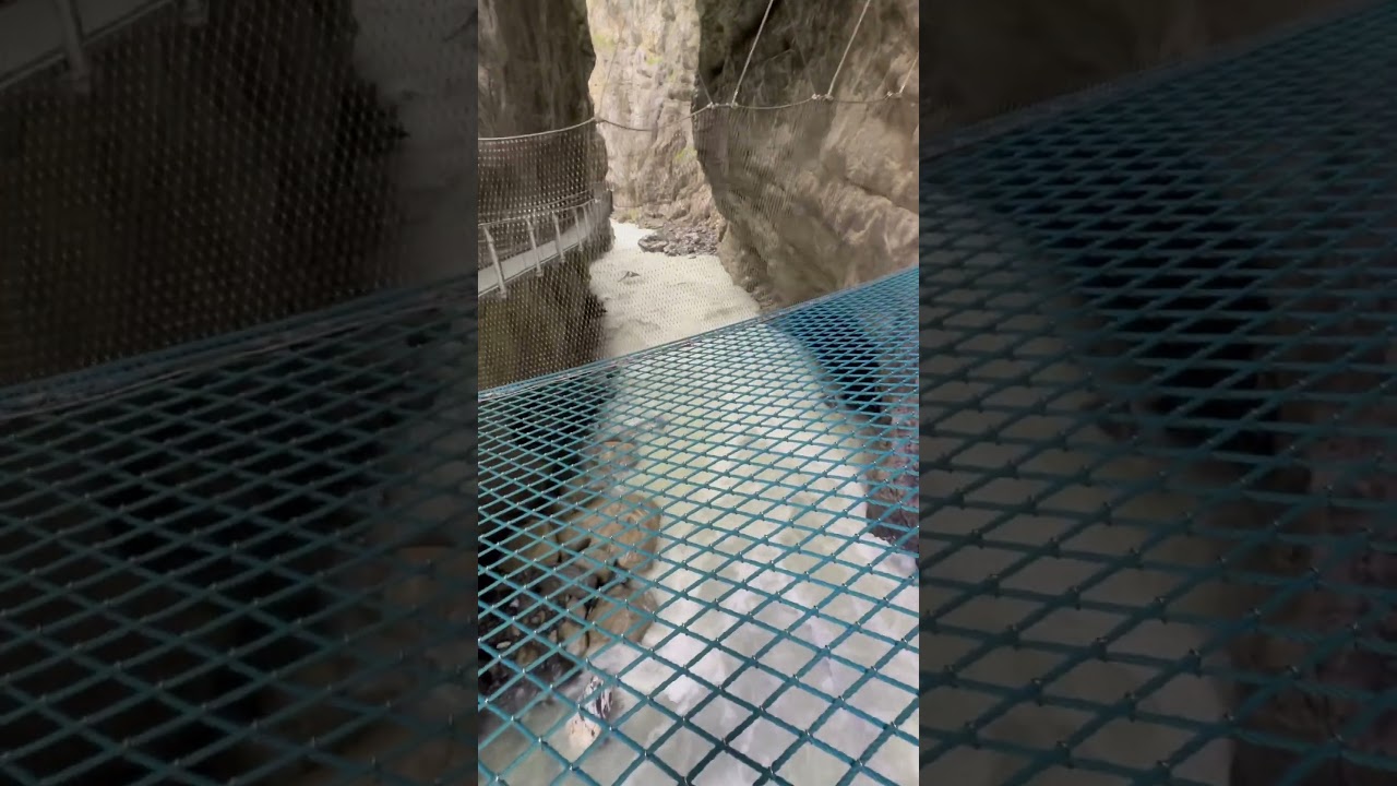 YouTube Short thumbnail