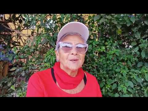 Comentario sobre la experiencia de caminata