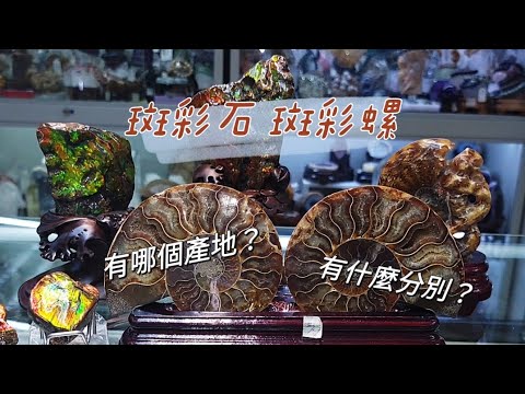 班彩縲擺放
