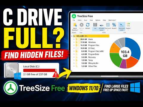 TreeSize Windows C drive storage analysis