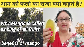 आम को फलो का राजा क्यों कहते हैं?//why Mango is called as king of all fruits//benefits of mango