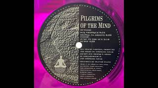 Pilgrims Of The Mind - Jump To The Sun