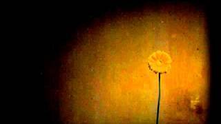 Mercy Me - Homesick with lyrics