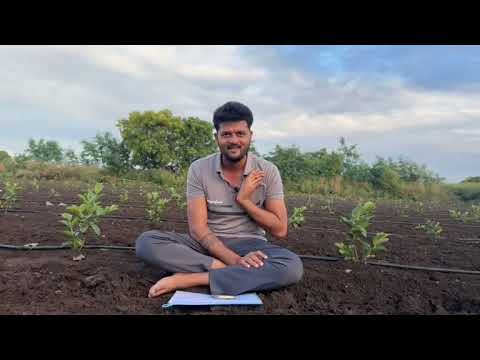 Press: मुंबई ला गेले अन चॉकलेट खाऊन आले, शेतकऱ्यांच्या नावावर किती खोके घेतले.😡 #ravirajsabalepatil 