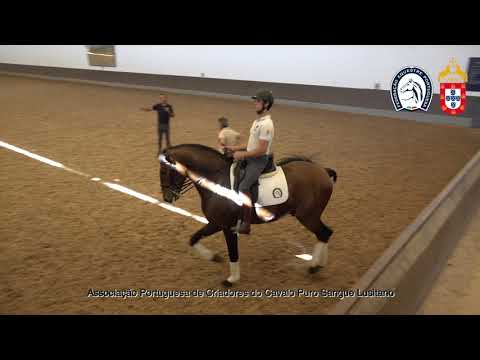 230417 12 Proj Ensino APSL&FEP - João Barbosa com Nápoles do Monte