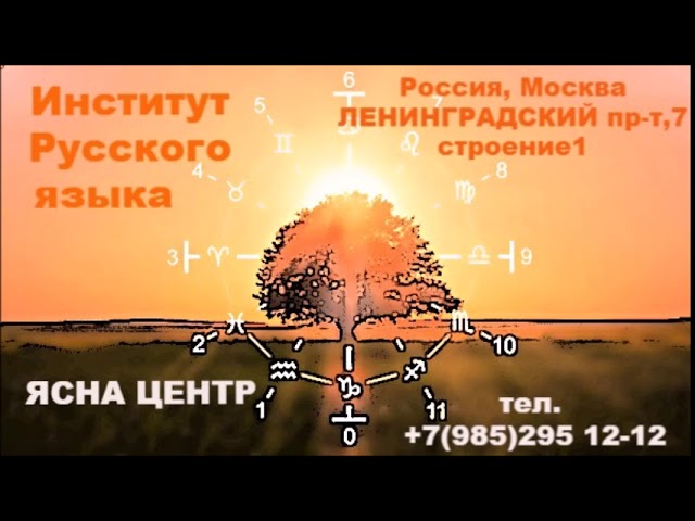 ⭐?БОЛЬШАЯ и МАЛАЯ МЕДВЕДИЦЫ⚡⚡
