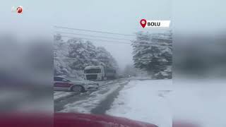 Boluda Mayıs Karı Ağaç Dallarını Kırdı