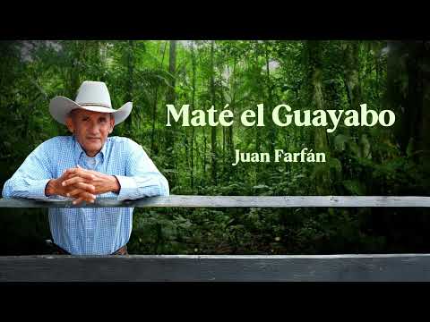 Juan Farfán - Maté el Guayabo (Vídeo Letra)
