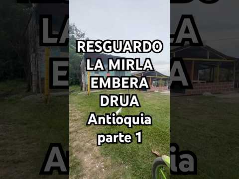 RESGUARDO LA MIRLA, EMBERA DRUA, (parte 1) Nudillales, Támesis, Antioquia 🇨🇴 Colombia