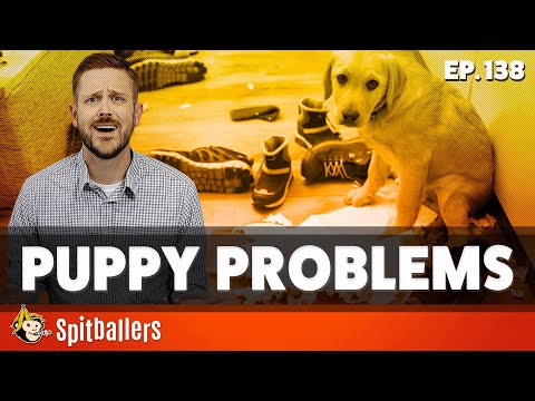 Puppy Problems & The Best Food Pairings - Episode 138 - Spitballers Comedy Show
