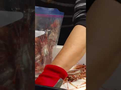 America's Biggest Indoor Shrimp Farm Sells 2 Million Shrimp Every Year II Japanese Street Food