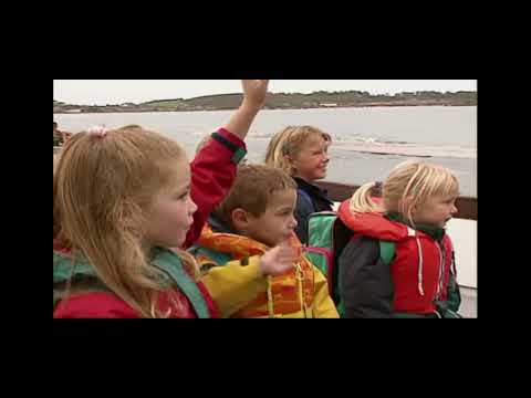 kyogre watching Teletubbies, going to school with boat