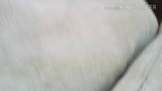 動画編集遅れってすみません！