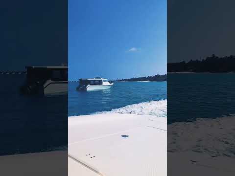#boattrip #mobilevideography #pocox5pro5g #island #maldives #indianocean #calmdown #beach